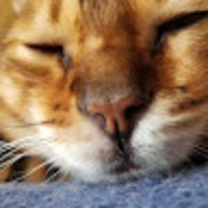 Meet your Posher, Jean